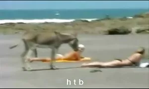 Митник, який проводить плрно сайти огляд.