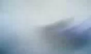 Кицька-це все найкращі порно сайти сука